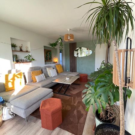 Appartement T3 - Foret & Plage 安格雷 外观 照片