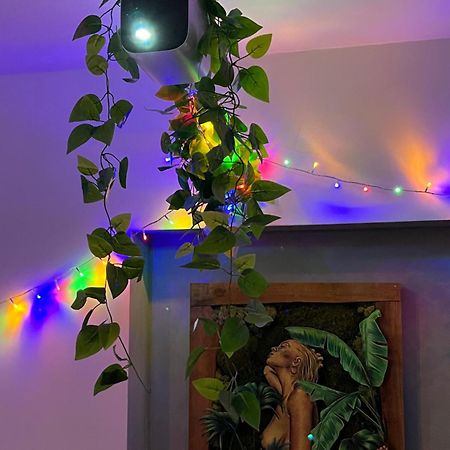 Appartement T3 - Foret & Plage 安格雷 外观 照片
