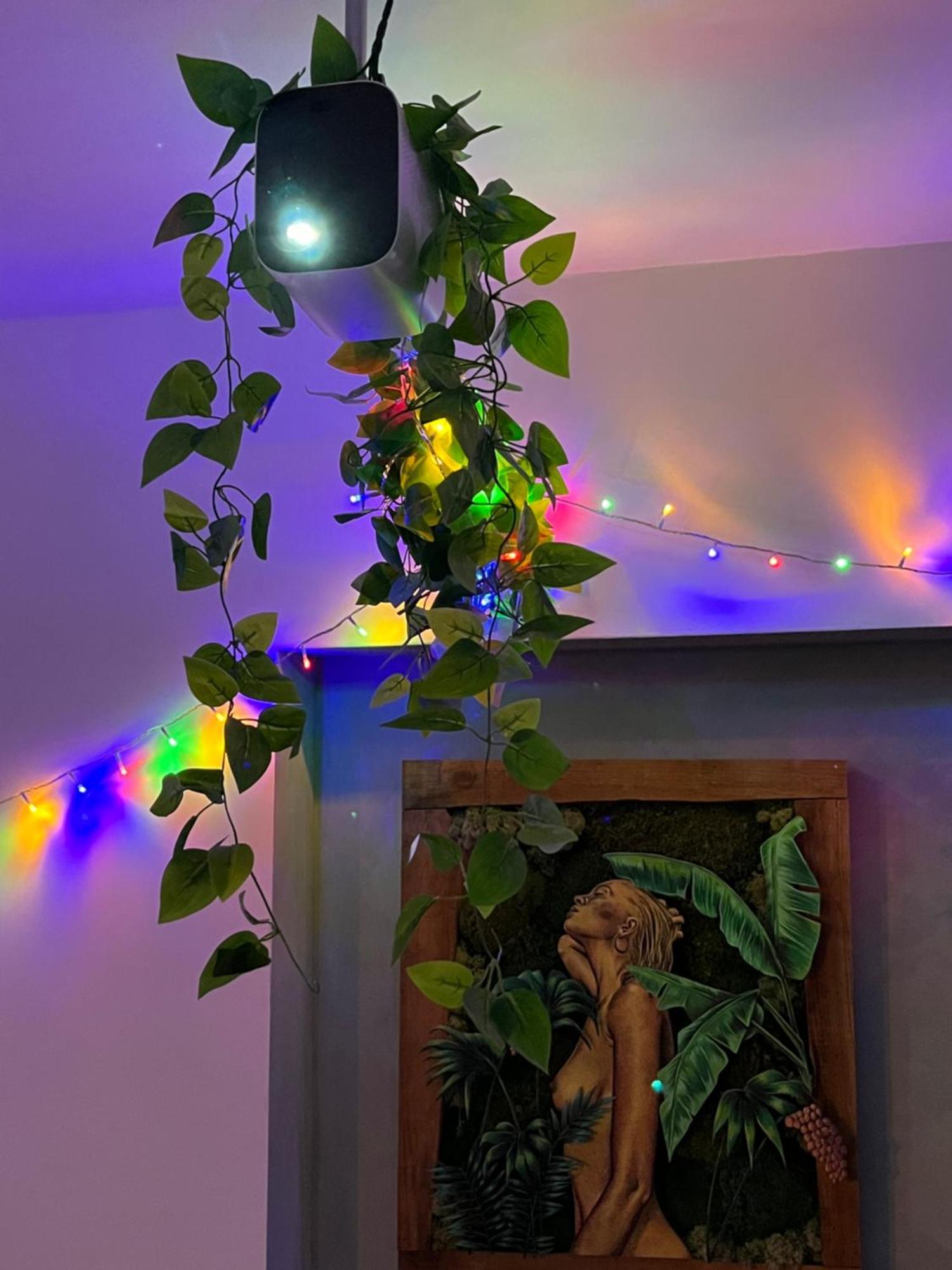 Appartement T3 - Foret & Plage 安格雷 外观 照片