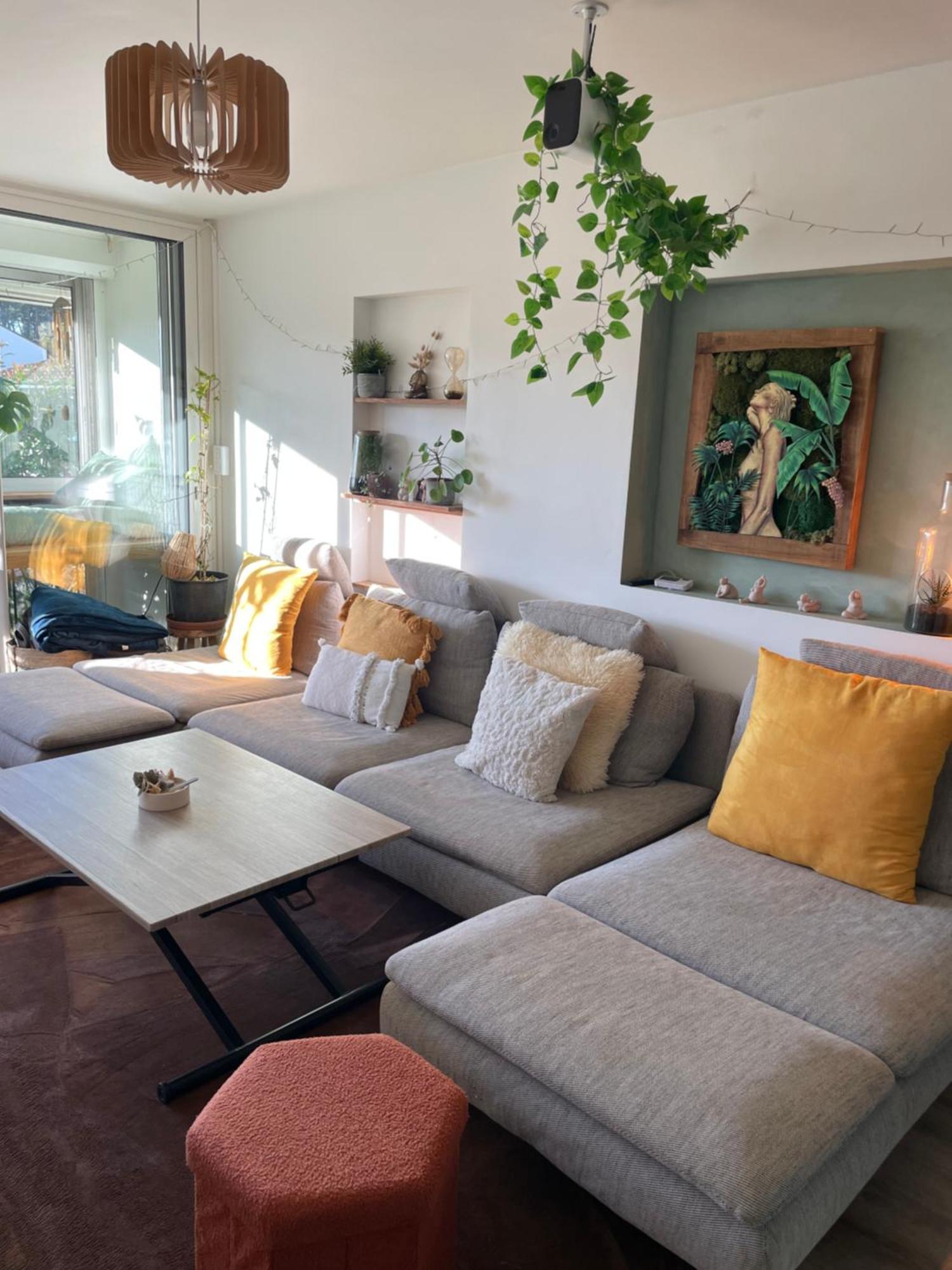 Appartement T3 - Foret & Plage 安格雷 外观 照片