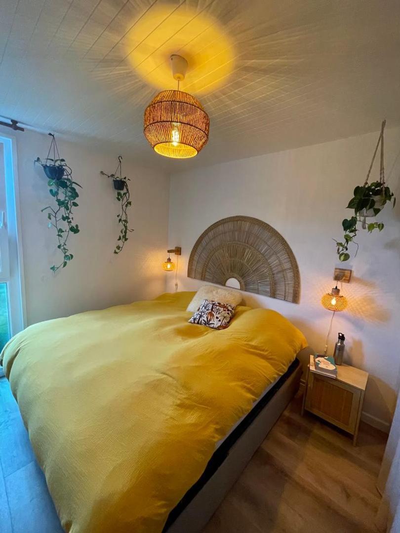 Appartement T3 - Foret & Plage 安格雷 外观 照片